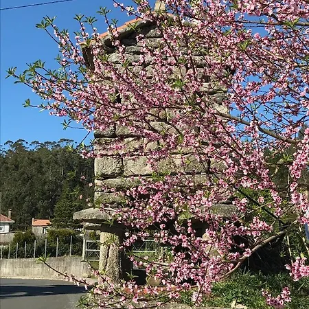 Casa Lorena *