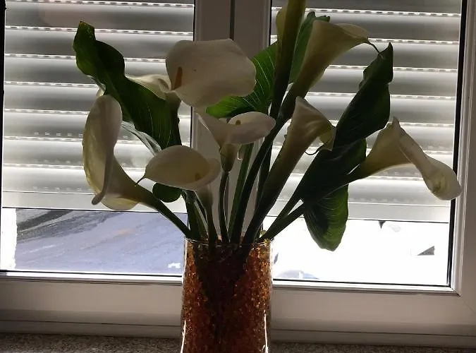 Casa Lorena Ξενοδοχείο