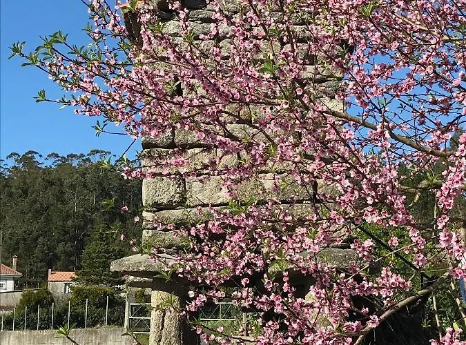 Casa Lorena *