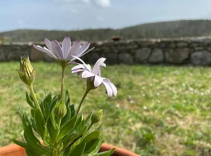 Casa Lorena Ξενοδοχείο