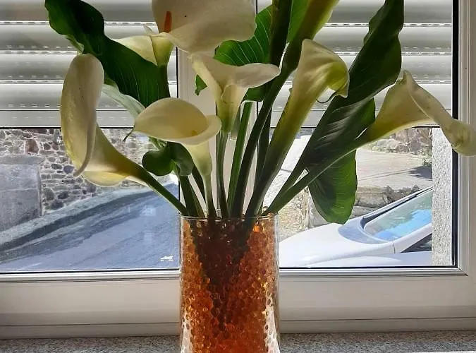 Ξενοδοχείο Casa Lorena